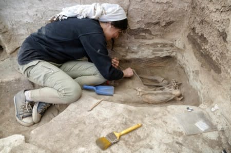 Handout photo of researcher excavating the ruins of Catalhoyuk