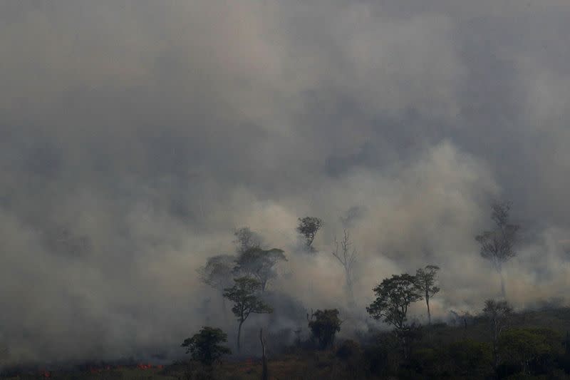 Un persistente foco de incendio forestal consume una parte del Pantanal, en el estado de Mato Grosso y con vistas al río Cuiaba, en Brasil. Agosto 28, 2020. REUTERS/Amanda Perobelli