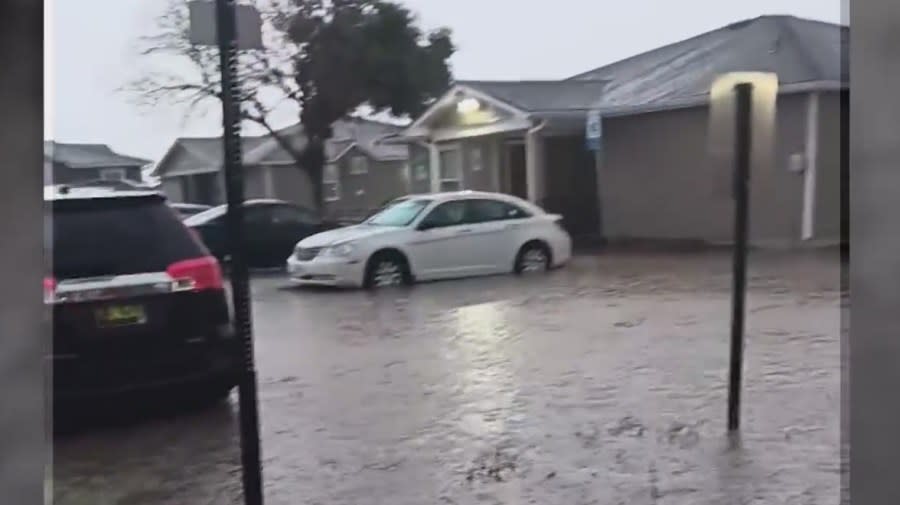 <em>Standing water in a New Mexico neighborhood | Photo by Jaimee Gonzales</em>