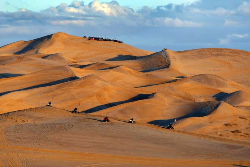 Schaben, Allen J. –– B581070468Z.1 IMPERIAL SAND DUNES, CA FEB. 20, 2011: Off–road enthusiasts race their quads across the sand dunes at sunset as the popular off–road destination goes full–swing on a holiday weekend. Interior Secretary Ken Salazar toured the scenic sand dunes on a sand rail in the Imperial Sand Dunes to tout his conservation initiative, Great American Outdoors. Washington's Birthday holiday weekend is one of the busiest weekends for off–road enthusiasts at the Imperial Sand Dunes.The new program stresses preserving public lands, waters and parks. The Imperial Sand Dunes are one of the more dangerous off– roading areas in the nation.( Allen J. Schaben / Los Angeles Times