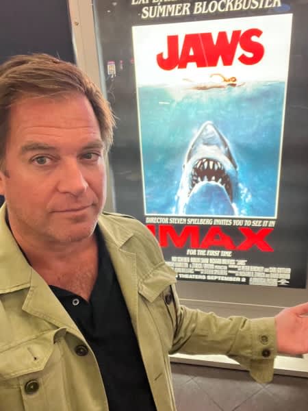 michael-weatherly-jaws