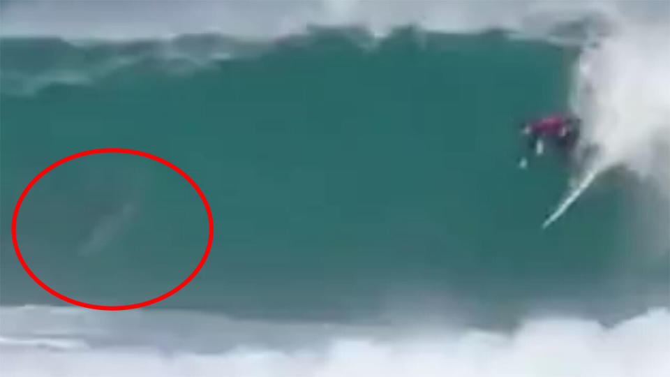 Fellow pro surfers, including the likes of Kelly Slater, were stunned by the rare display.