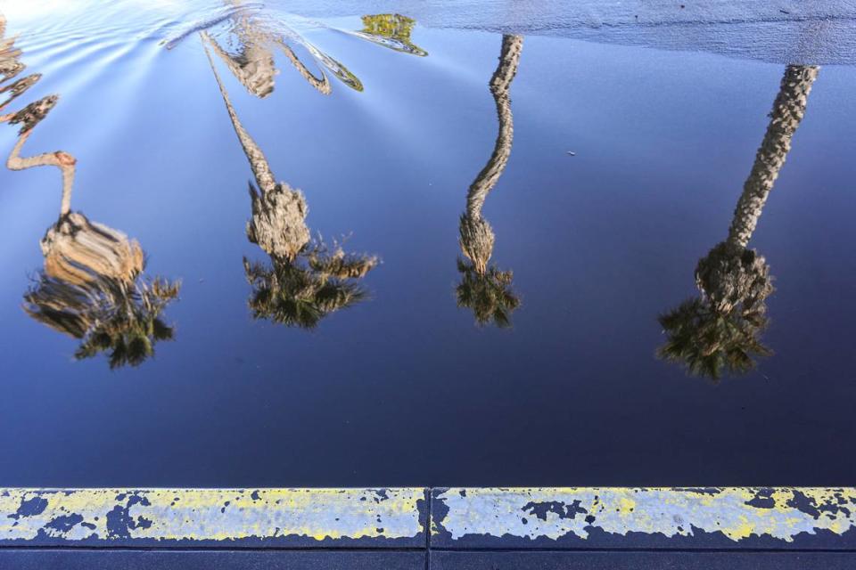 King tide topped out at 6.75 feet in Avila Beach at 7:45 Monday morning, backing water up on First Street at San Francisco Street. Here, palm trees are reflected in curb-level water as it began to retreat at about 11:30.