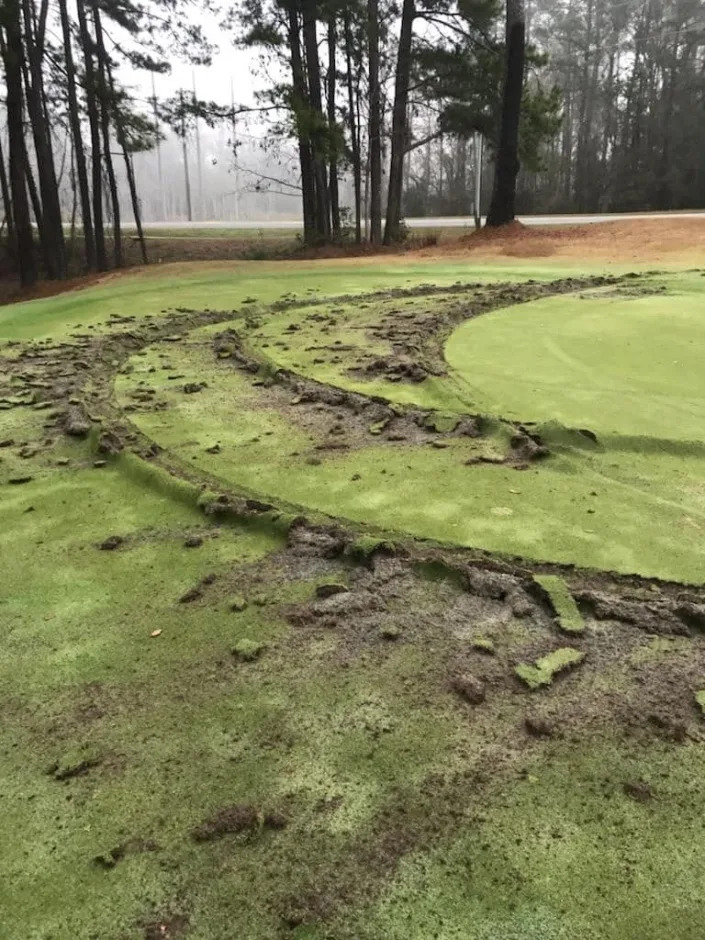 The 11th green at The Golf Club at Summerbrooke was damaged by deep tire gouges.
