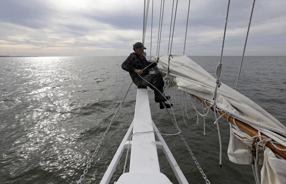 In this Dec. 20, 2013 picture, Kurt Pittman ties up the jib sail after a day of oyster dredging on the skipjack Hilda M. Willing in Tangier Sound near Deal Island, Md. Around the turn of the 20th century, the skipjack was the vessel of choice for oystermen who made their living on the Chesapeake Bay. However, today only a handful of the sailboats are used for commercial dredging during Maryland's oyster season, which runs November through March. (AP Photo/Patrick Semansky)