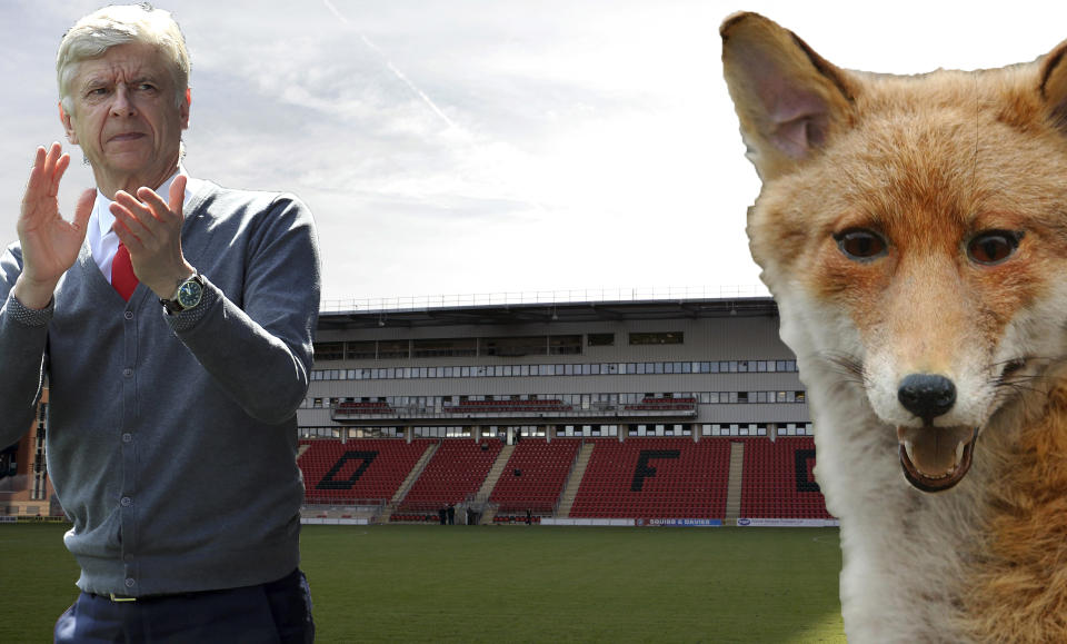 Brisbane Road is plagued by foxes – it could be time to send in the Arsene