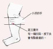 足三里,按摩,長高