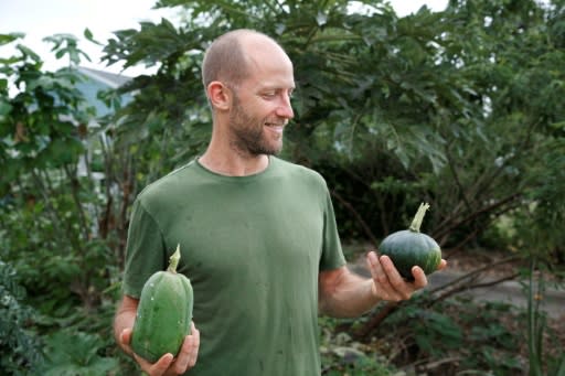 Among the crops Rob Greenfield grows are papaya and Seminole pumpkin