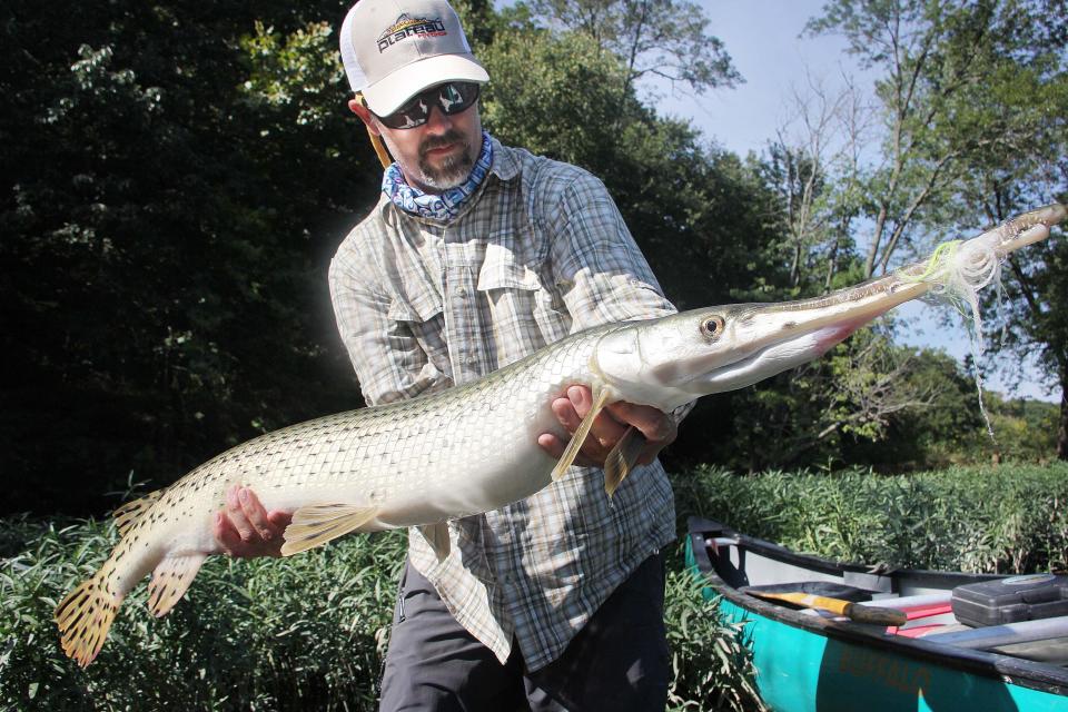 On his last cast of the day, Springfield fly fisherman Jim Stouffer pulled this 51-inch gar from the James River with a hookless lure in 2013 He released the fish unharmed, and said gar are powerful fighters.