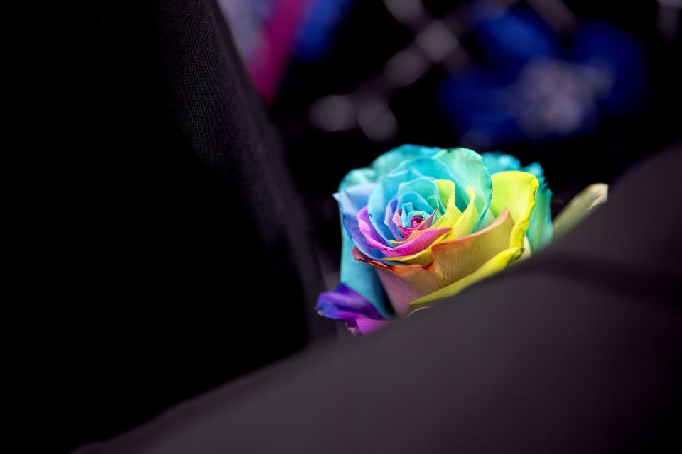 <p>A rainbow-colored rose decorates the lapel of a mourner following the funeral service for Christopher Andrew Leinonen, one of the victims of the Pulse nightclub mass shooting, outside the Cathedral Church of St. Luke Saturday, June 18, 2016, in Orlando, Fla.. (AP Photo/David Goldman) </p>