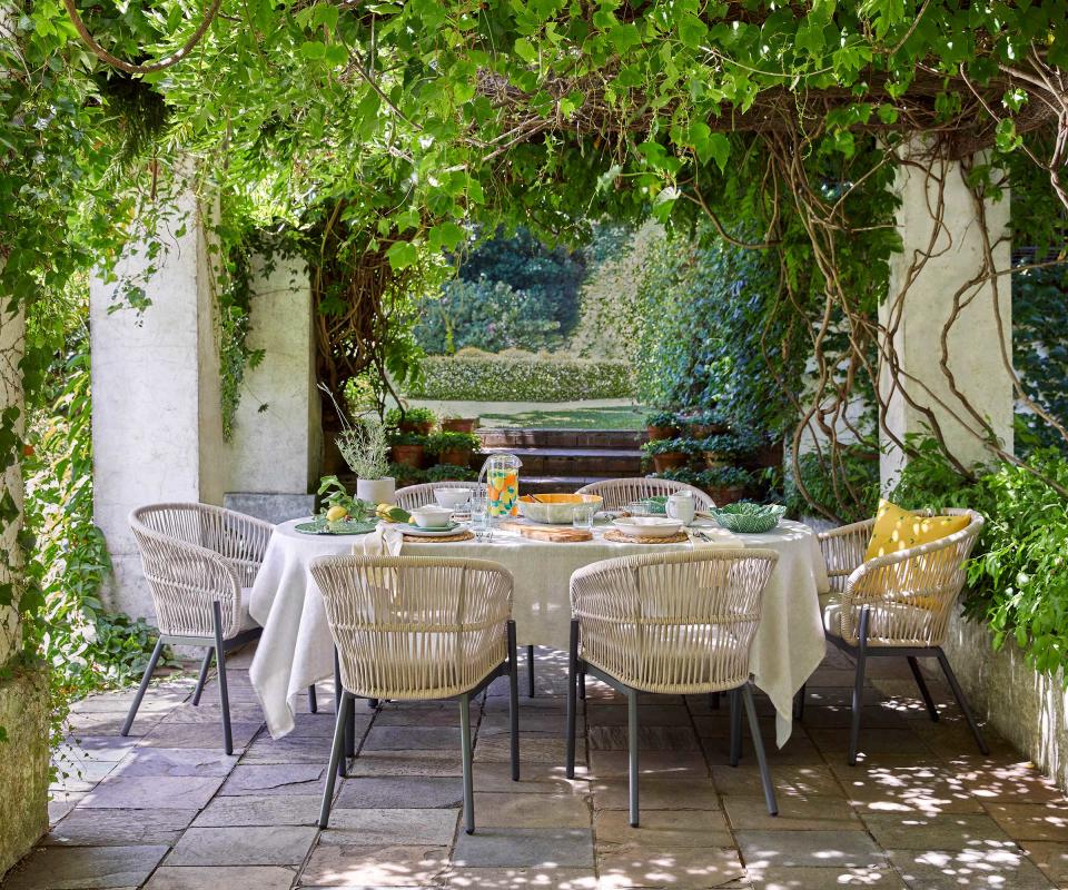 pergola with climbing plants