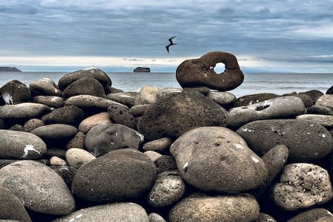 "Everybody wants to have the experience of going to the Galapagos" - Credit: STEVE MCCURRY/SILVERSEA