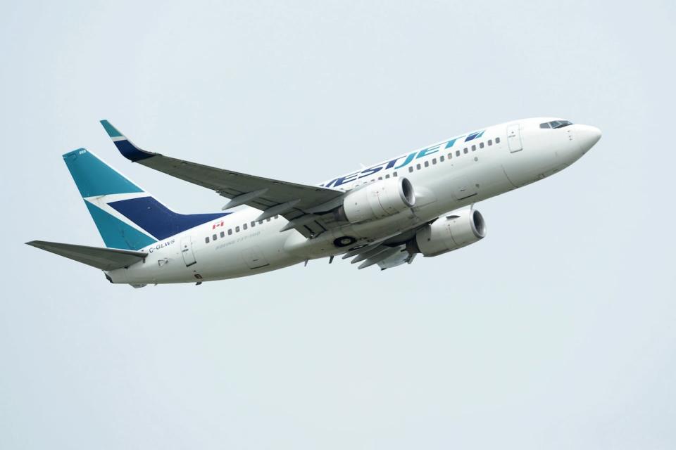 A spokesperson for WestJet said it's impossible to open secured pressurized airplane doors at high altitudes. (Jonathan Hayward/The Canadian Press - image credit)