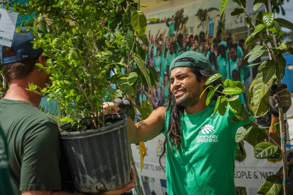 Community Greening employee Stephen Seto, Boynton Beach, helps distribute trees to Boynton Beach residents during an Earth Day event in Boynton Beach, Fla, on April 22, 2023. Community Greening is an urban forestry non-profit organization based in Palm Beach County.