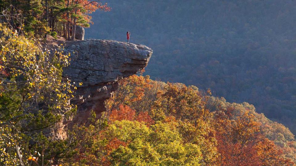 Fall Foliage in Ozark National Forest, Arkansas