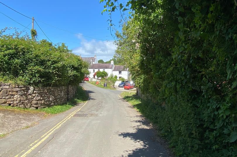 Country lane leading to houses