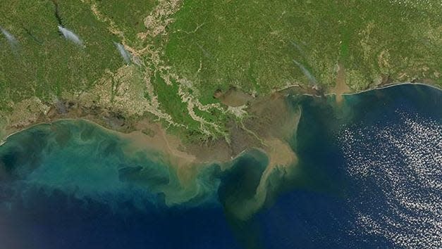 Sediment-laden water pours into the northern Gulf of Mexico from the Atchafalaya River in Louisiana.