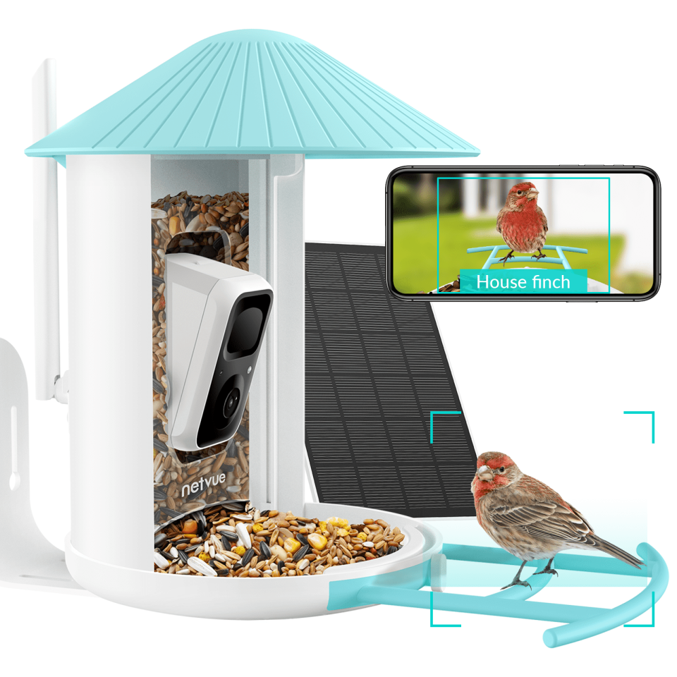 <p><a href="https://go.redirectingat.com?id=74968X1596630&url=https%3A%2F%2Fwww.walmart.com%2Fip%2FBird-Feeder-with-Camera-Netvue-Birdfy-Smart-Bird-Feeder-with-Free-AI-for-Bird-Watching-Gifts-for-Parents-Blue-AI-with-Solar%2F665569472&sref=https%3A%2F%2Fwww.countryliving.com%2Fshopping%2Fg46674031%2Fwalmart-presidents-day-sale-2024-outdoor-furniture%2F" rel="nofollow noopener" target="_blank" data-ylk="slk:Shop Now;elm:context_link;itc:0;sec:content-canvas" class="link ">Shop Now</a></p><p>Bird Feeder with Camera </p><p>walmart.com</p><p>$199.98</p>