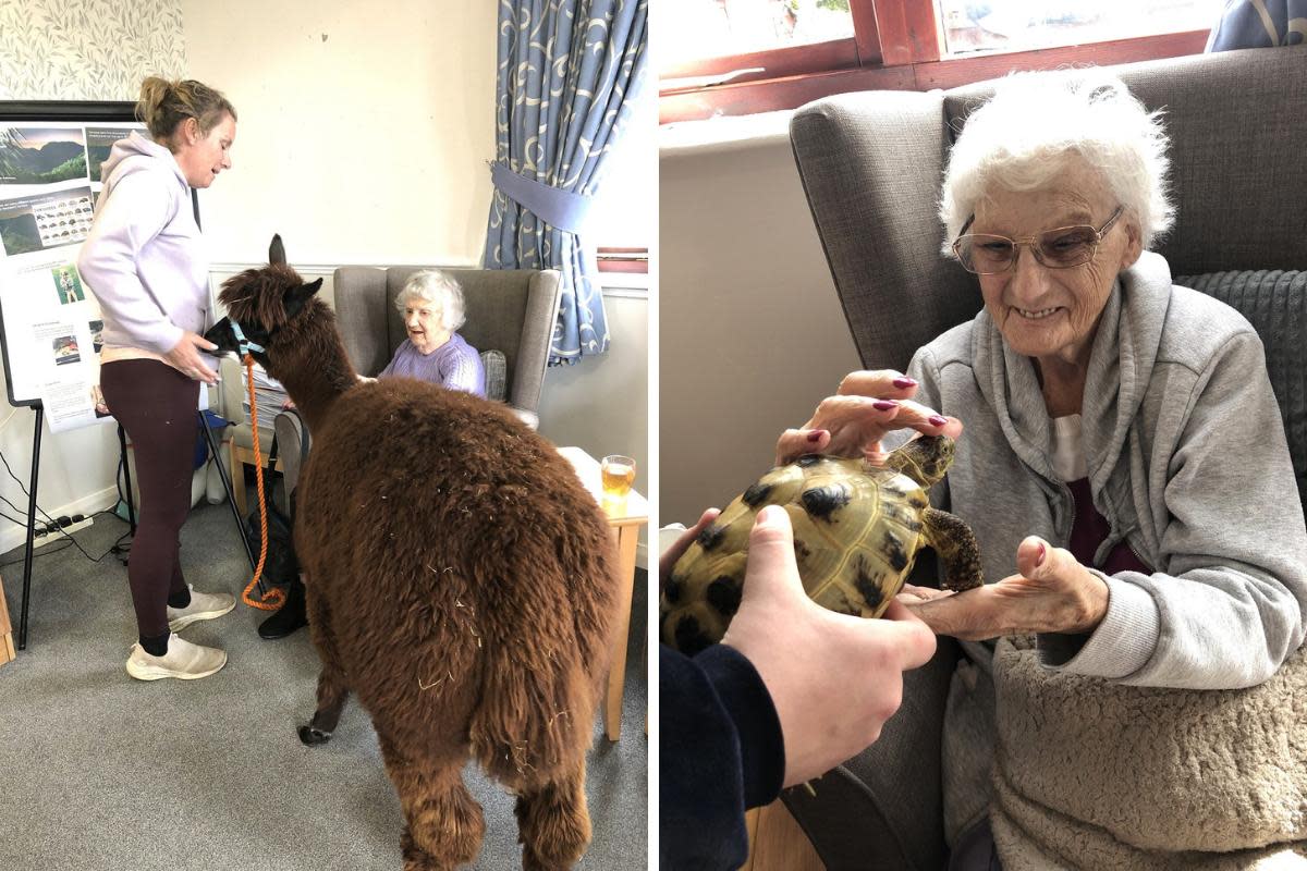 Nursery children pay visit to care home for a special reason <i>(Image: St Catherine's Care Home)</i>