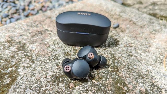 Sony WF-1000XM5 wireless earbuds: everything we know so far