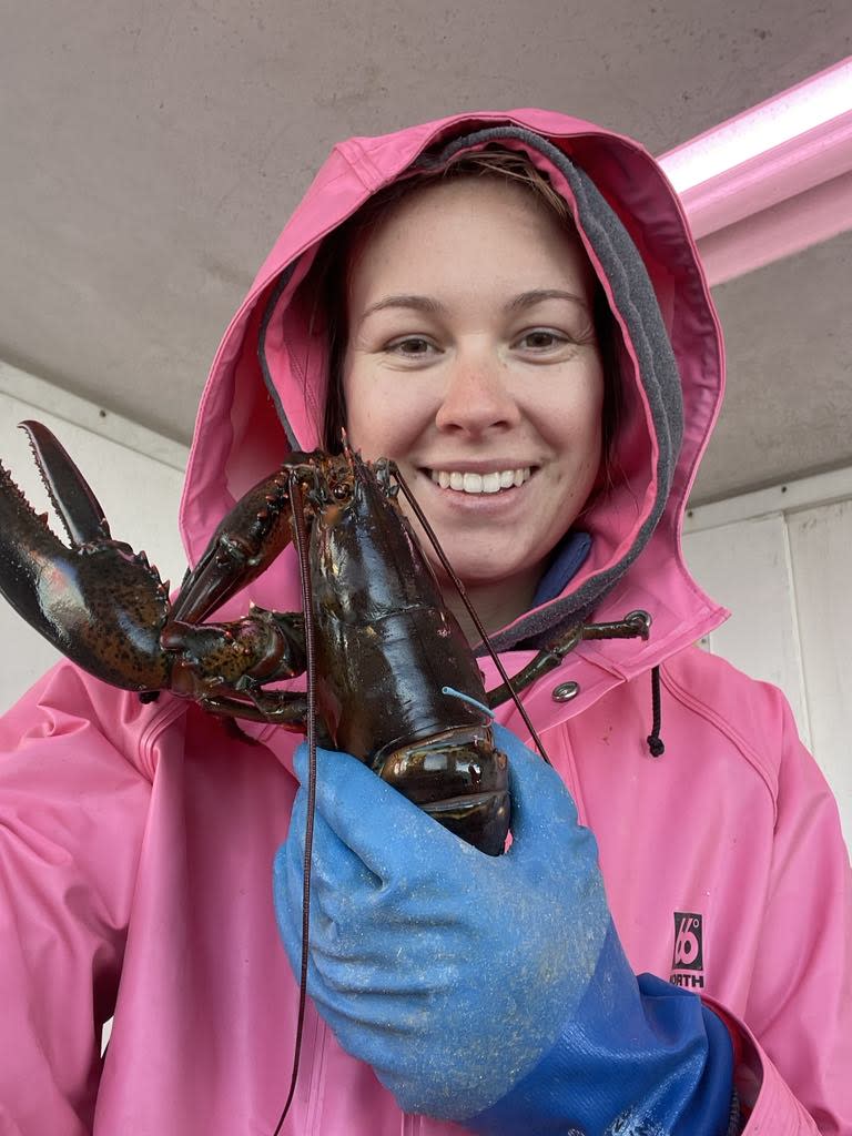 Emily Blacklock, a PhD candidate at the University of New Brunswick, holds a lobster tagged as part of a study trying to determine their age.