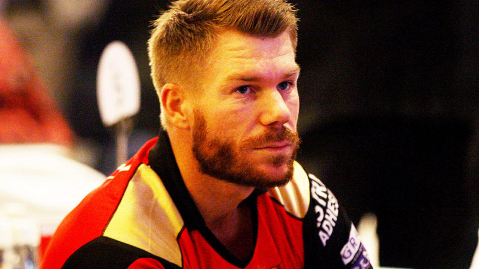 David Warner, pictured here during a game for Sunrisers Hyderabad in the IPL.