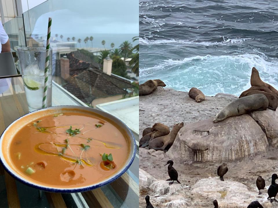bowl of soup at george's at the cave in san diego next to a photo of the seals on the rocks outside the restaurant