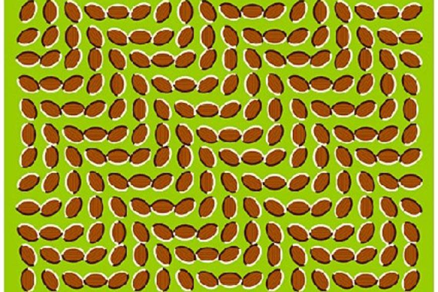 Optical illusions that will blow your mind