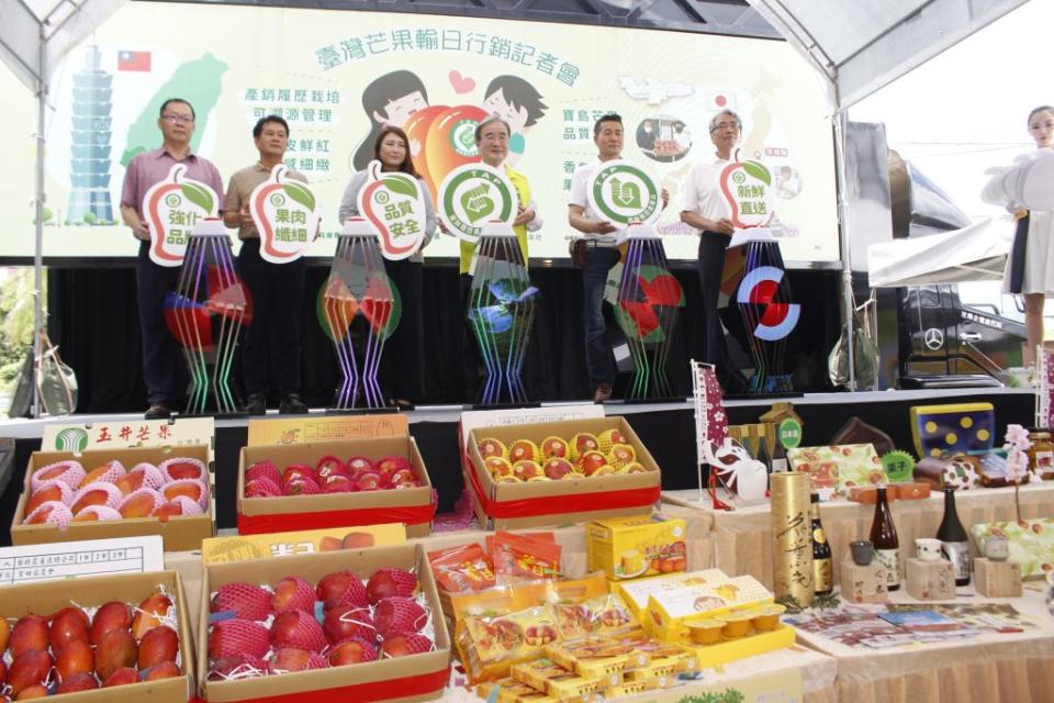 台南愛文芒果香甜美味，供應日本校園啟航，預計七月中旬抵達，供做當地六所學校、二千二百位學童的營養午餐水果。（記者黃文記攝）