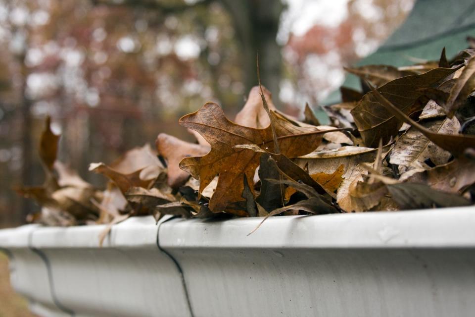 Clean your gutters and exterior drains.