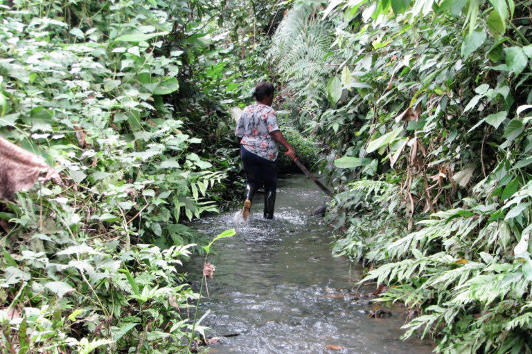 Una mujer camina sobre el río de la comunidad de La Chiquita, en San Lorenzo. Foto: cortesía Julliane Hazlewood.