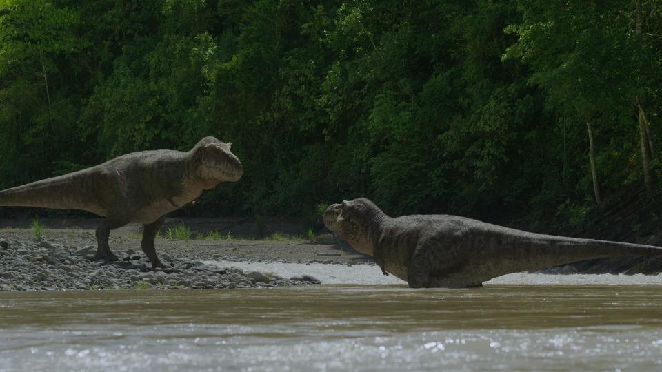 The old male T. rex meets the younger female. And it's tense at first.