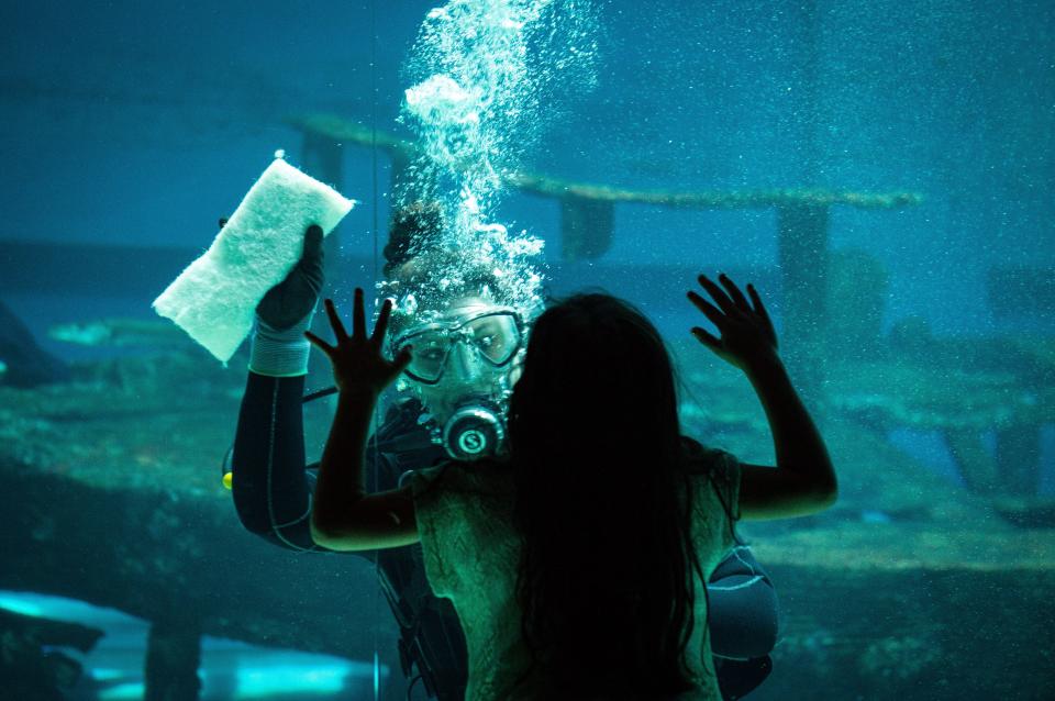 Diver Brianna Rock, 24, of Corpus Christi, makes eye contact with Elizabeth Rosales, 6, of Mission, while cleaning the acrylic sides of the H-E-B Caribbean Sea exhibit with an abrasive pad at the Texas State Aquarium on Oct. 24, 2021.