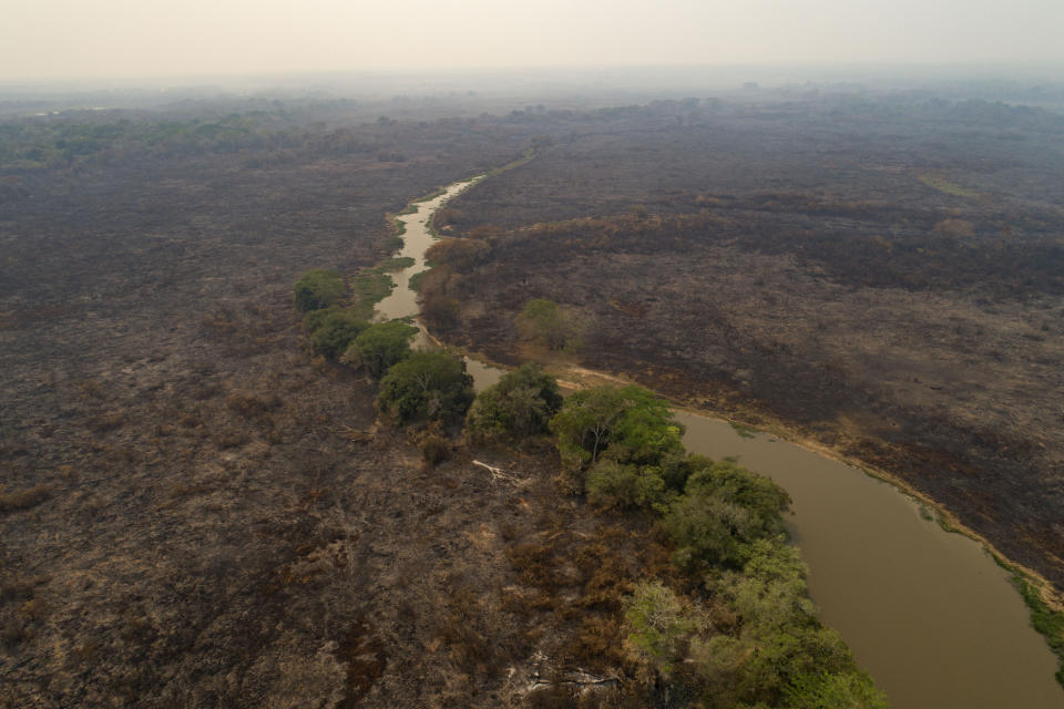 An recently burned area at the Encontro das Aguas park at the Pantanal wetlands near Pocone, Mato Grosso state, Brazil, Saturday, Sept. 12, 2020. Wildfire has infiltrated the state park, an eco-tourism destination known for its population of jaguars. (AP Photo/Andre Penner)