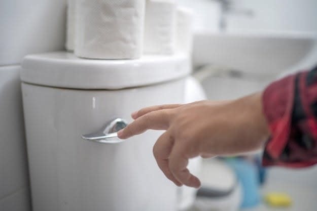 A person's hand about to flush a toilet