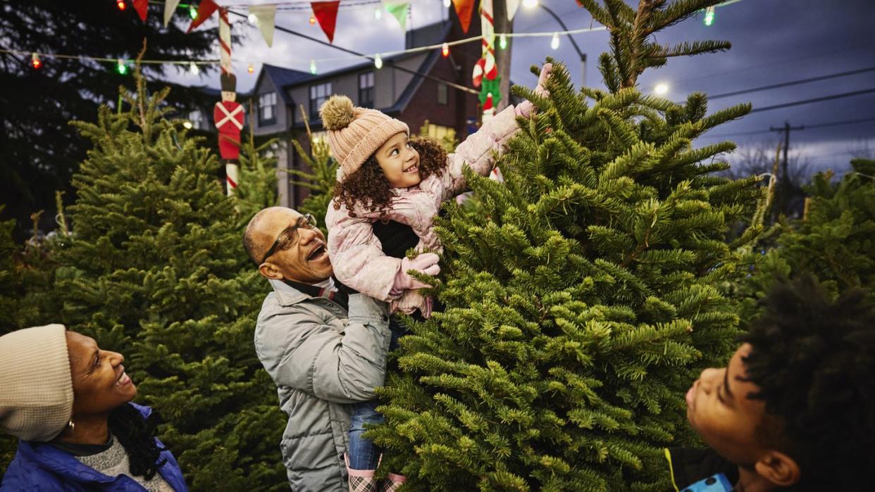 how long do christmas trees last, medium wide shot of smiling grandfather lifting granddaughter to touch top of tree