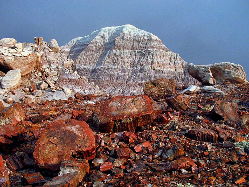 Colorful petrified wood fills Petrified Forest National Park's Rainbow Forest.
