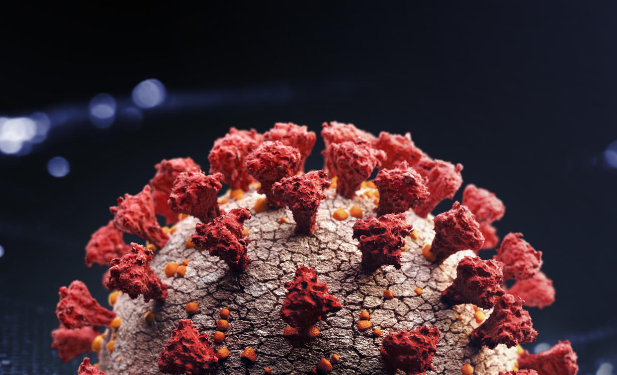 Corona virus close up