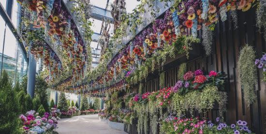 Photo credit: Gardens by the Bay