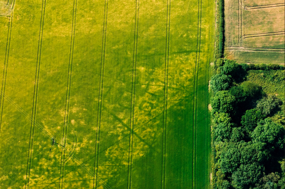 <p>Cropmarks of four squares indicate the remains of iron age square barrows in Pocklington, Yorkshire (Historic England) </p>