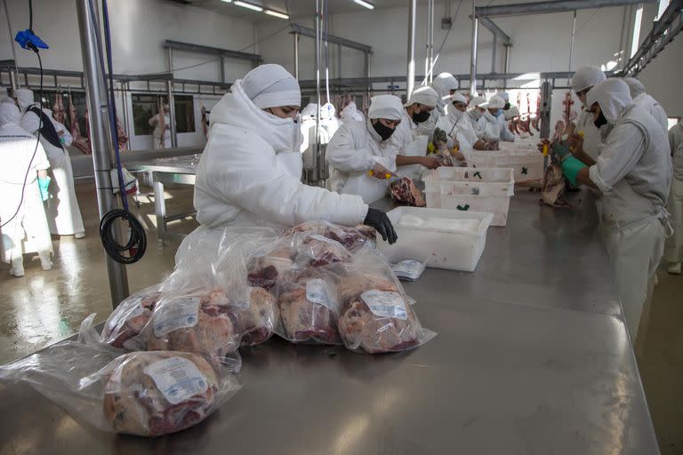 Muchos frigoríficos emplean amoniaco gaseoso o anhidro para refrigeración
