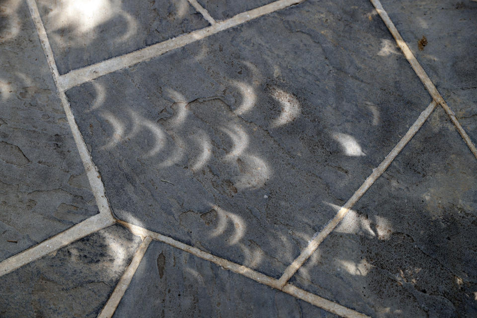 FILE - Projected images of the eclipse are seen through the leaves on the trees on the sidewalk at the White House in Washington, Monday, Aug. 21, 2017. (AP Photo/Alex Brandon, File)