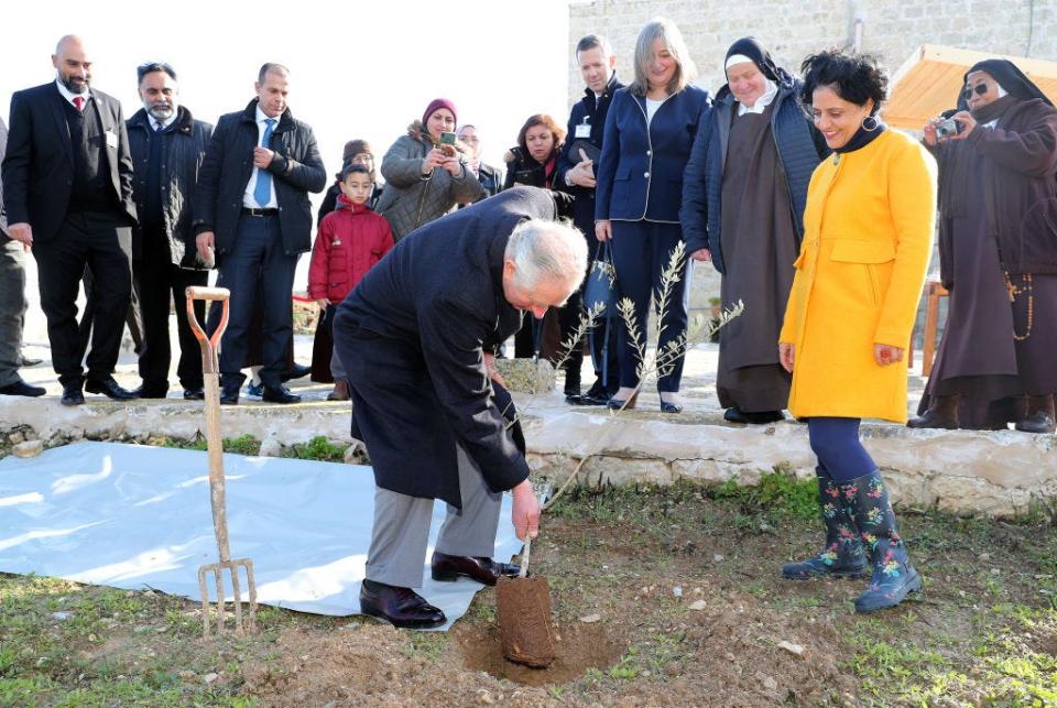 Prince Charles plants a tree in the West Bank