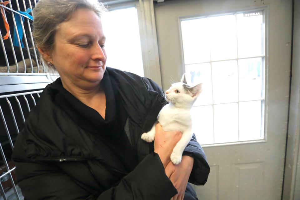 Debbie DiBernardo, president of the Hi Tor Animal Care Center board, says the shelter is not taking in new animals because of an outbreak of ringworm.