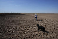 Farmer Larry Cox walks in a plowed field with his dog, Brodie, at his farm Monday, Aug. 15, 2022, near Brawley, Calif. With drought, climate change and overuse of the Colorado River leading to increasingly dire conditions in the West, the federal Bureau of Reclamation is looking at fallowing as a way to cut water use. That means idling farmland, with payments to major users to make it worthwhile. That has farmers primarily in California's Imperial Valley and Arizona's Yuma Valley weighing the possibility. Many are reluctant. (AP Photo/Gregory Bull).