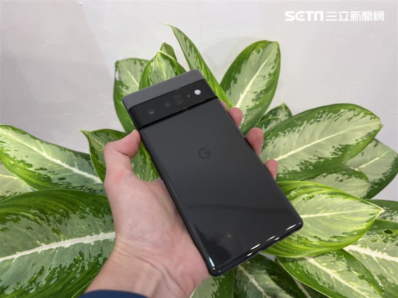  Pixel 6 系列今年外觀採用全新設計。（圖／記者谷庭攝）