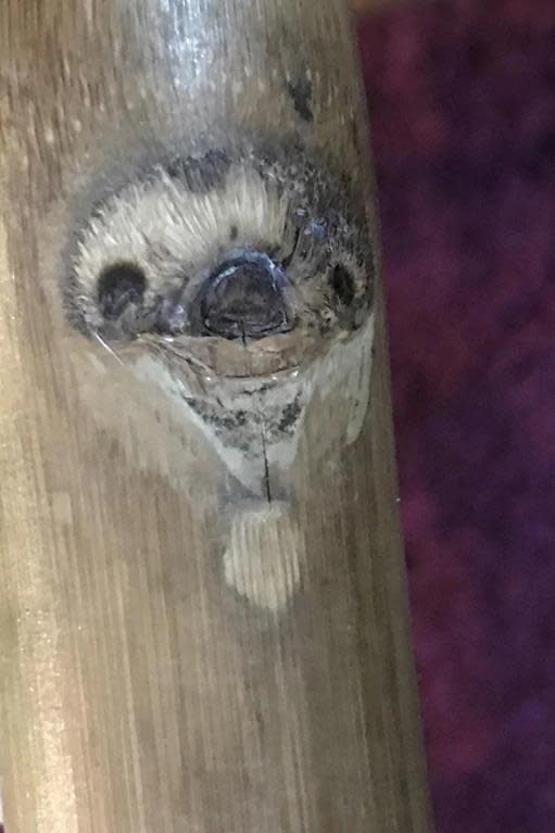 The marking on the wood is giving us sloth vibes