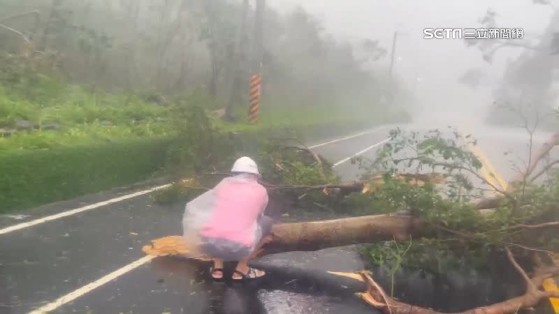 海葵颱風已經登陸台灣，台東地區首當其衝。（示意圖／資料照）