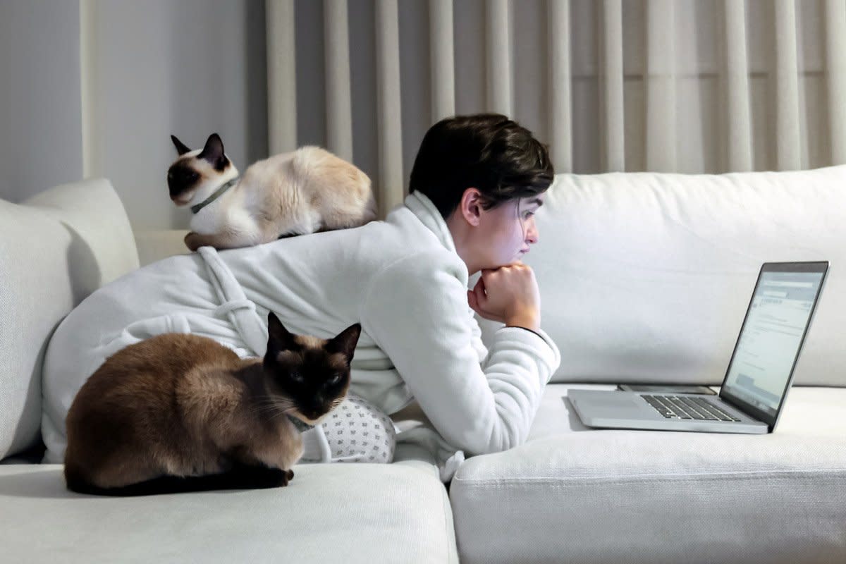 A woman works from home with her cats on her.