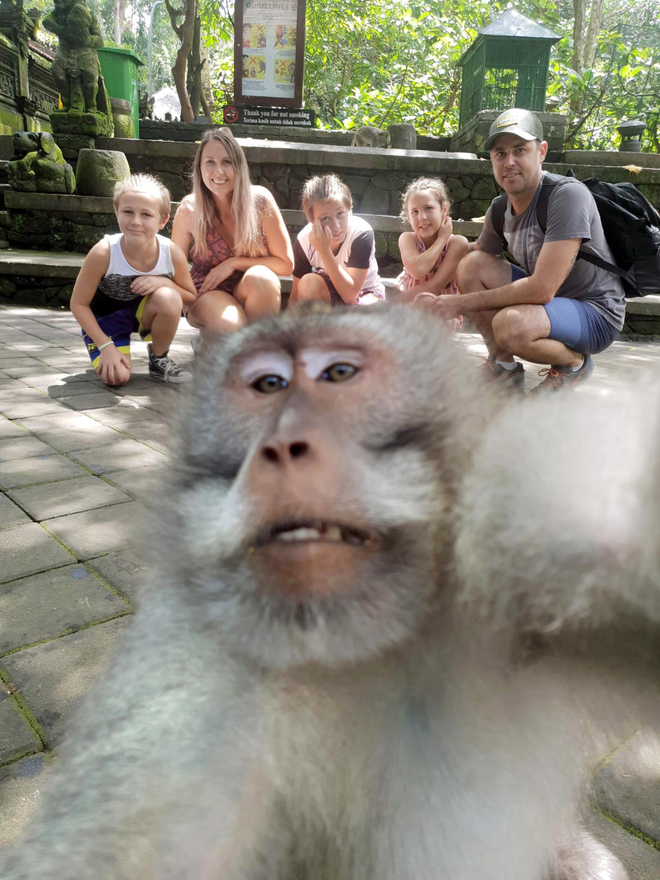 Monkey in family photo taken in Bali, Indonesia